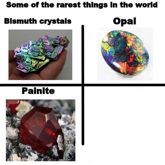 Some of the rarest things in the world  Meme Preview Image