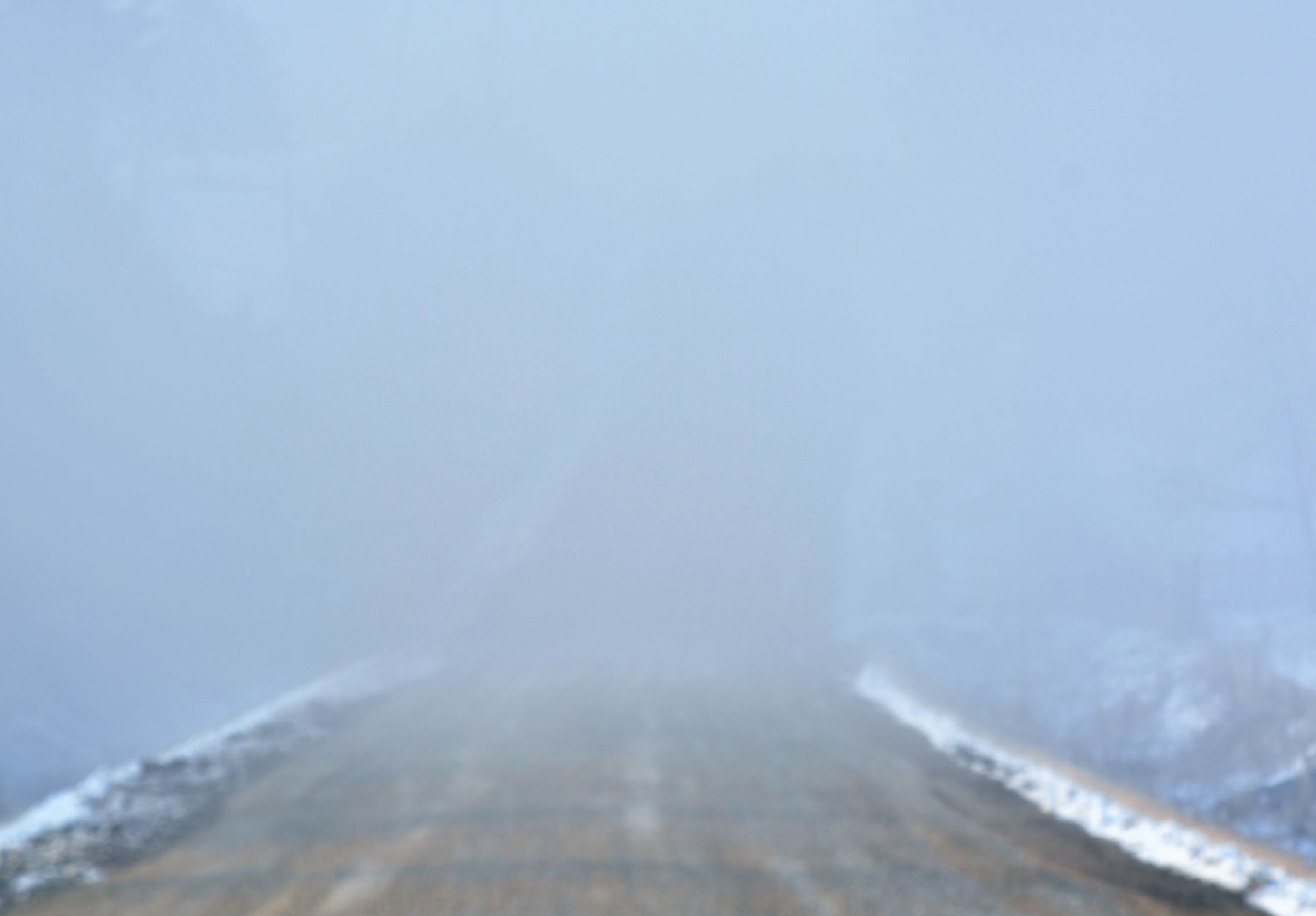 Into the fog  Meme Preview Image