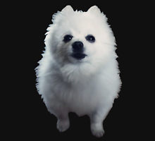 Gabe the dog  Meme Preview Image