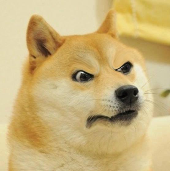 Confused Angery Doge  Meme Preview Image
