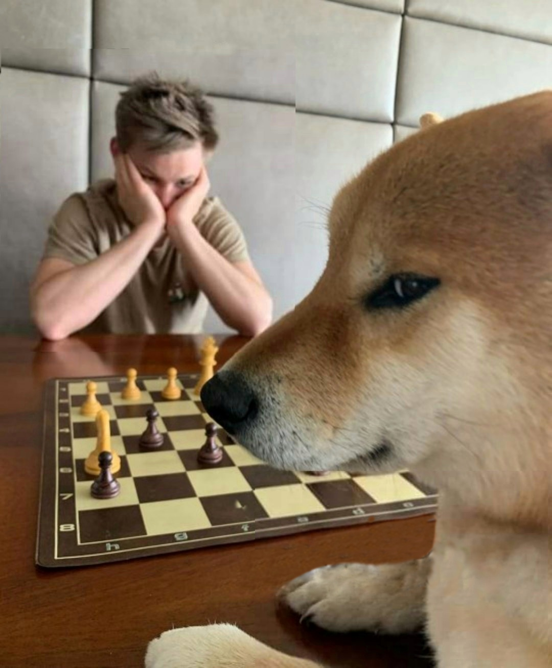 Chess doge  Meme Preview Image