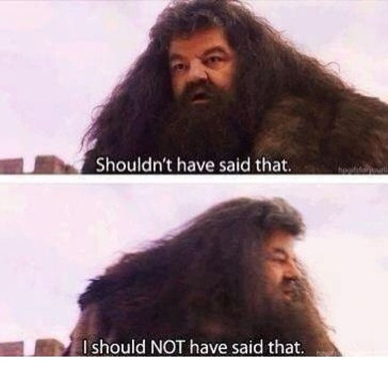 I shouldn't have said that  Meme Preview Image