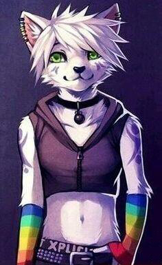 The furry who doesn't  Meme Preview Image