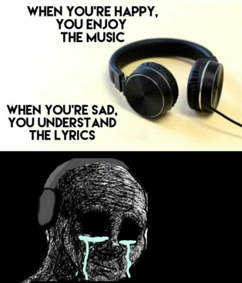 When your sad you understand the lyrics  Meme Preview Image