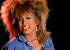Tina Turner  Meme Preview Image