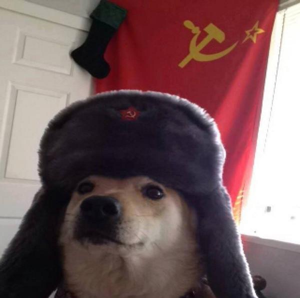 Russian Doge  Meme Preview Image