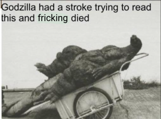 Godzilla had a stroke trying to read this and fricking died  Meme Preview Image