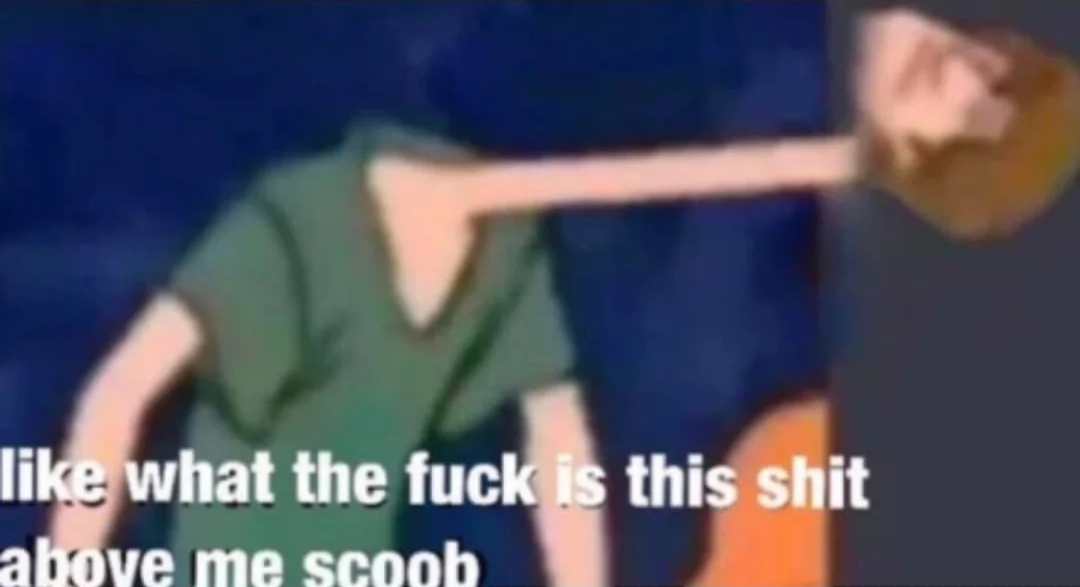 Like what the f*ck is this sh*t above me scoob  Meme Preview Image