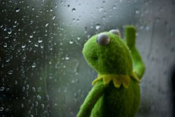 kermit window Meme Template