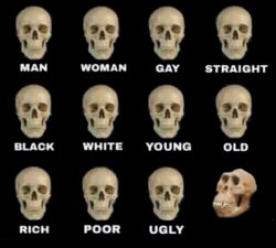 idiot skull Meme Template