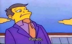 skinner pathetic Meme Template