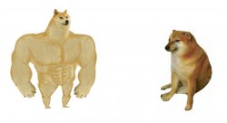small doge big doge Meme Template