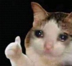 Approved crying cat Meme Template