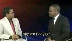 Why are you gay? Meme Template