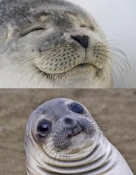 Short Satisfaction VS Truth Meme Template