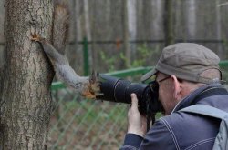 Jehovas Witness Squirrel Meme Template