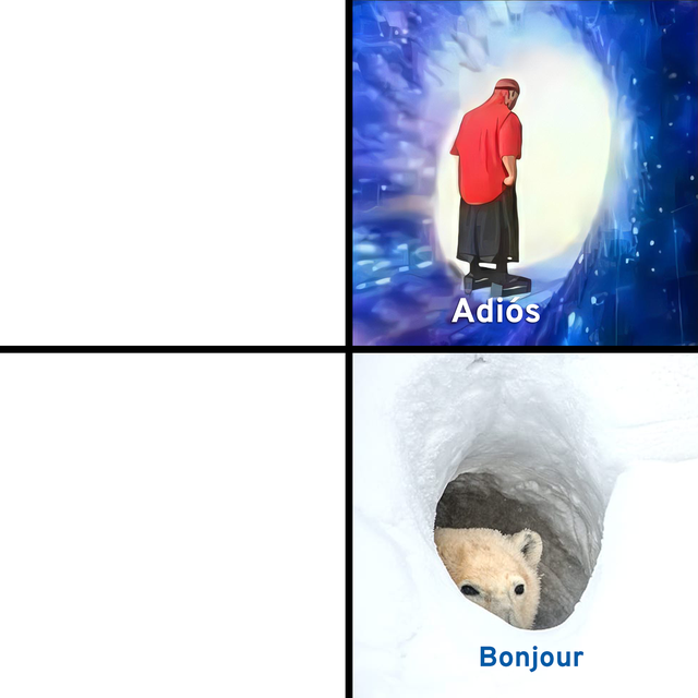 Adios Bonjour  Meme Template