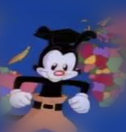 YAKKO  Meme Template