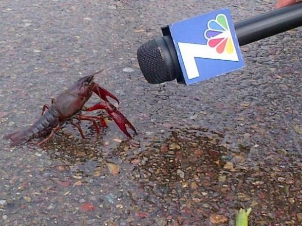 Crawfish Interview  Meme Template