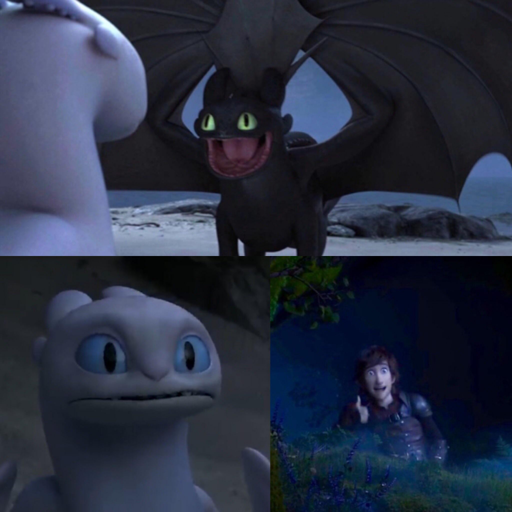 Toothless thumbs up  Meme Template