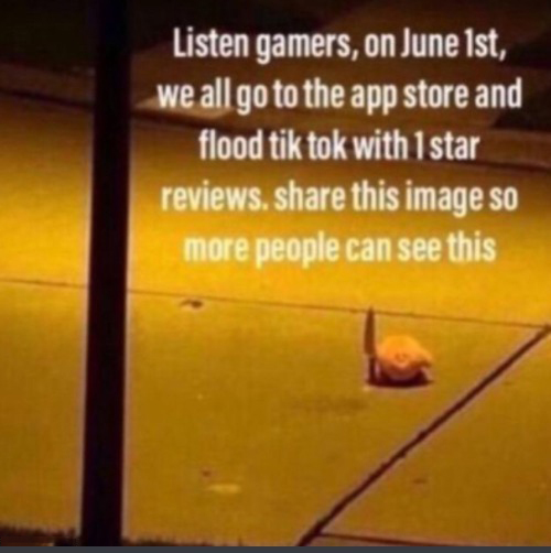 Flood Tiktok on June 1st  Meme Template