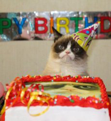 Grumpy Cat Birthday Meme Template