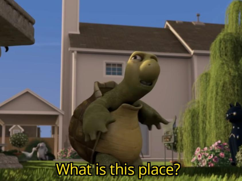 What is this place  Meme Template