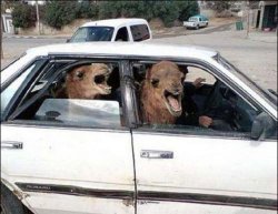 Quit Hatin Meme Template