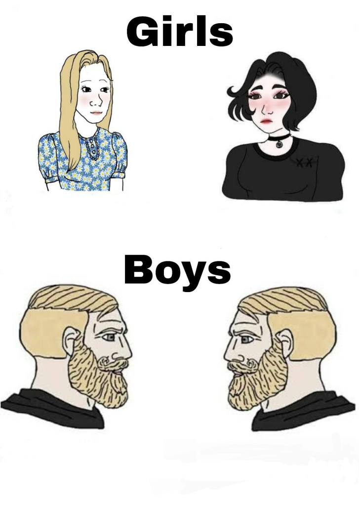 boys v girls  Meme Template