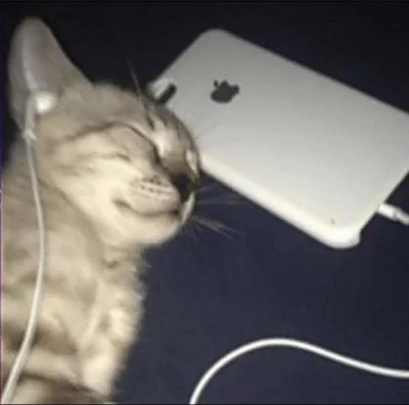 Cat listening to music  Meme Template