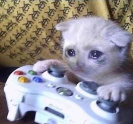 cat sad controller  Meme Template