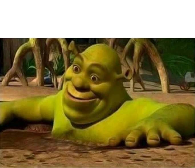 shrek  Meme Template