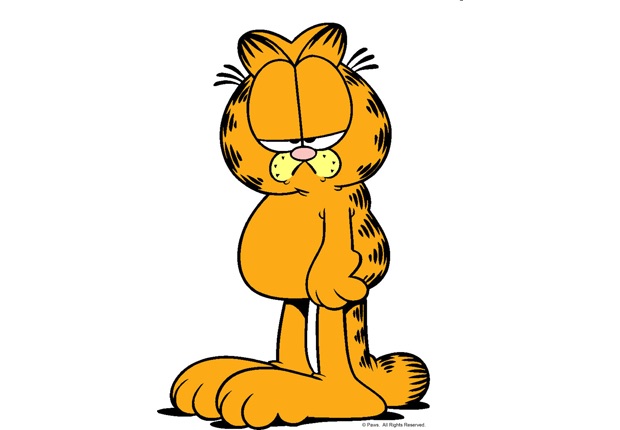 Grumpy Garfield  Meme Template