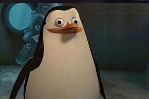 Madagascar penguin  Meme Template