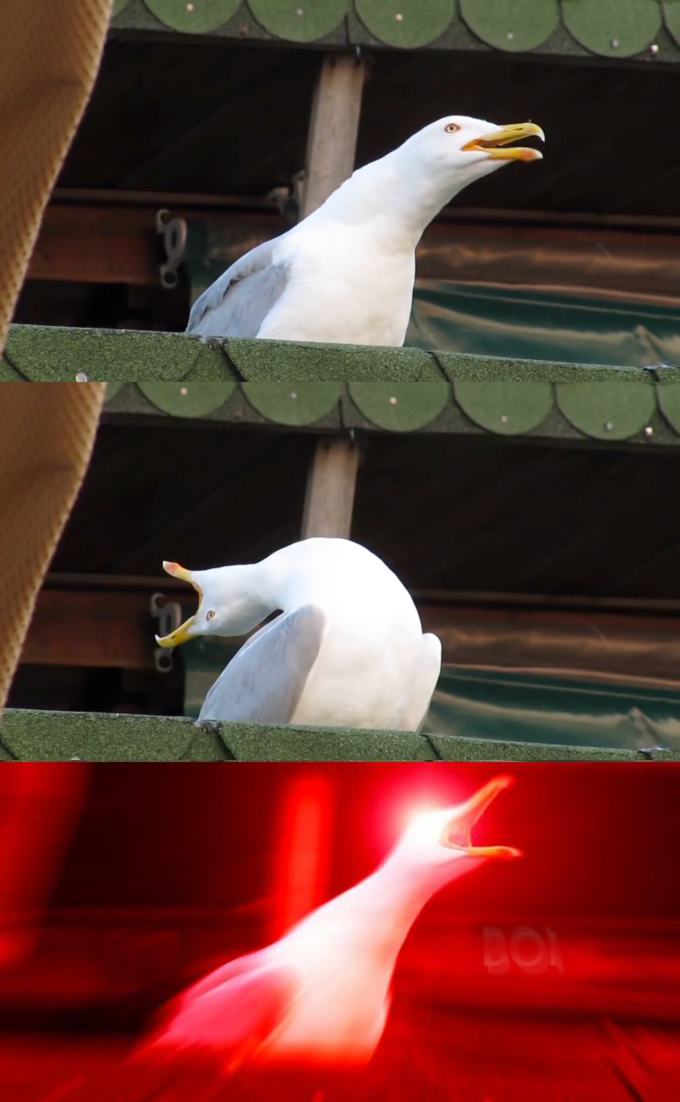 Inhaling seagull  Meme Template