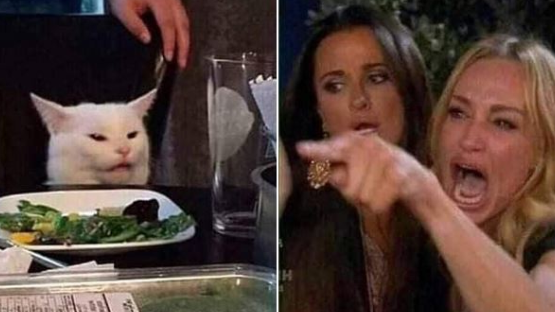 Reverse Smudge and Karen  Meme Template