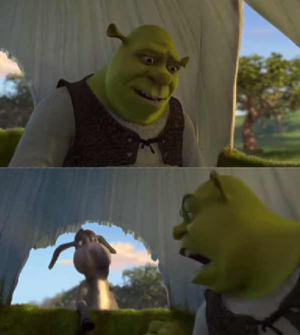 Shrek Donkey 5 Minutes Silence  Meme Template