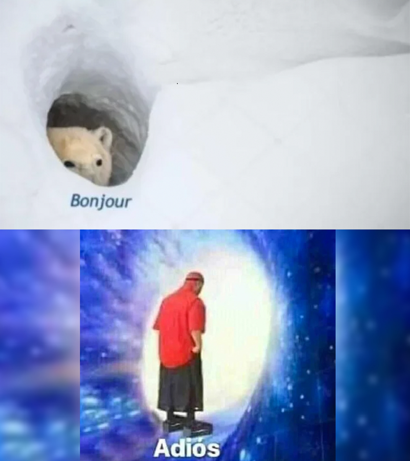 bonjur adios  Meme Template