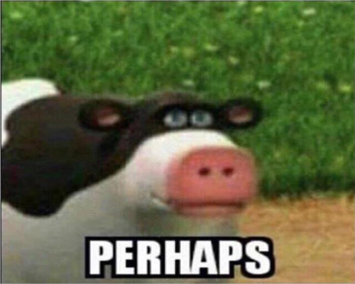 Perhaps Cow  Meme Template