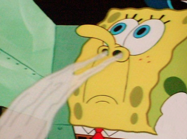 SpongeBob Sniffing  Meme Template