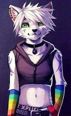 The furry who doesn't  Meme Template