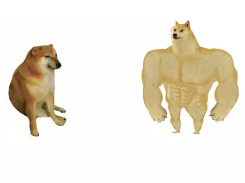 buff doge vs cheems reversed  Meme Template