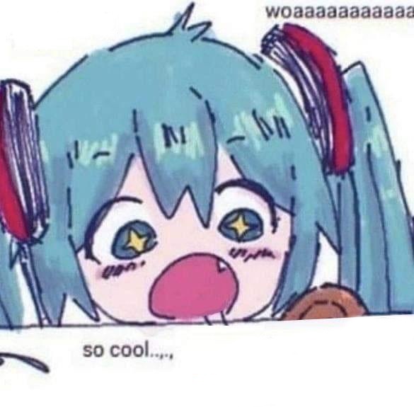 WOAAAAAAAA X SO COOL  Meme Template